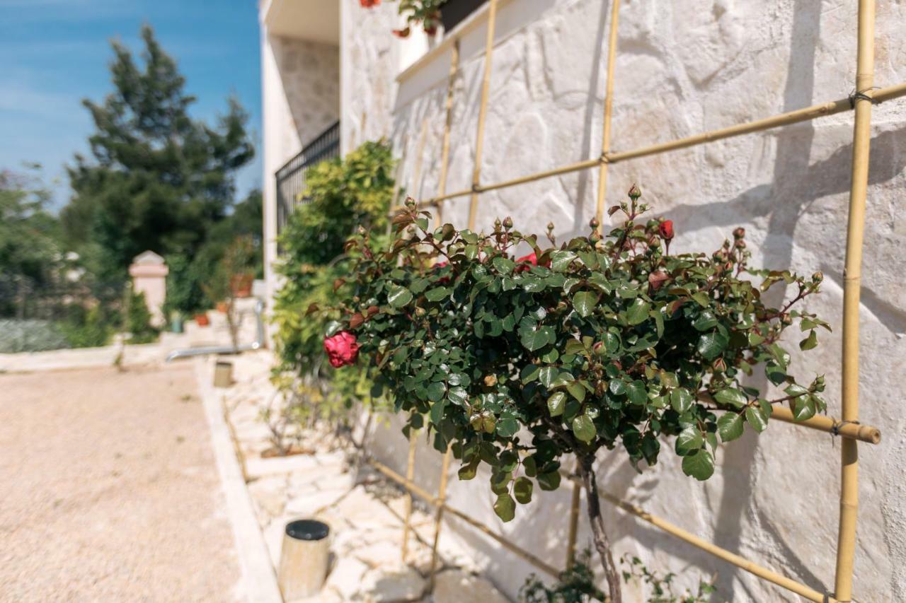 Apartamento Hedon-Stone Starigrad Paklenica Exterior foto